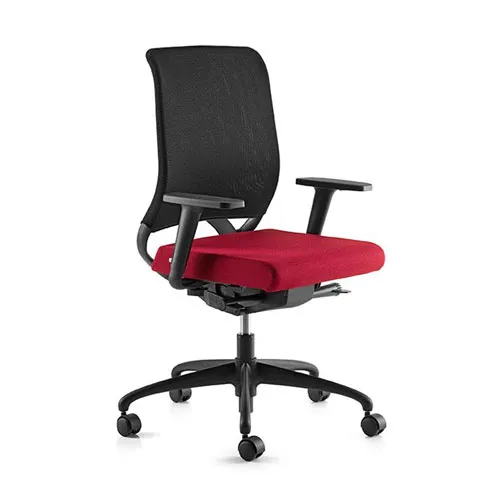 Ecochair