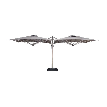 Dual T Carbon Scolaro