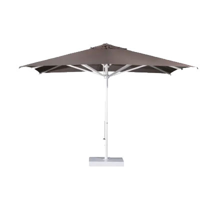 Verona Starwhite