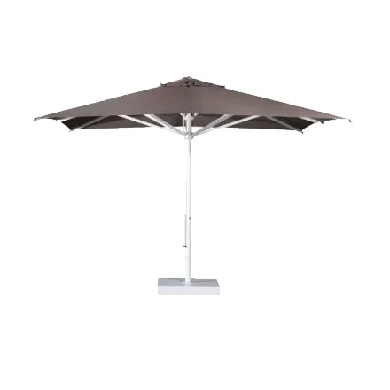 Verona Starwhite Scolaro