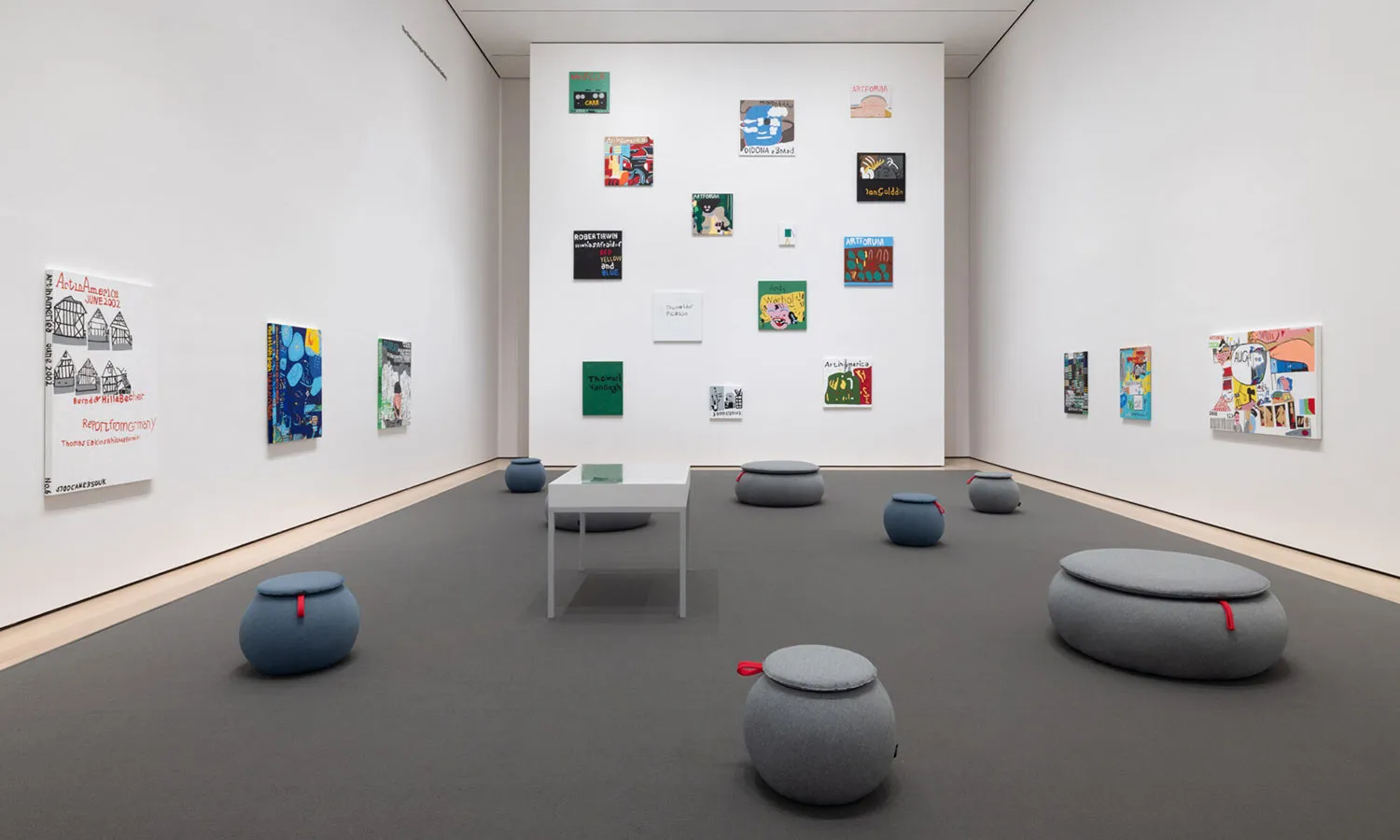 Caimi al MoMa di New York